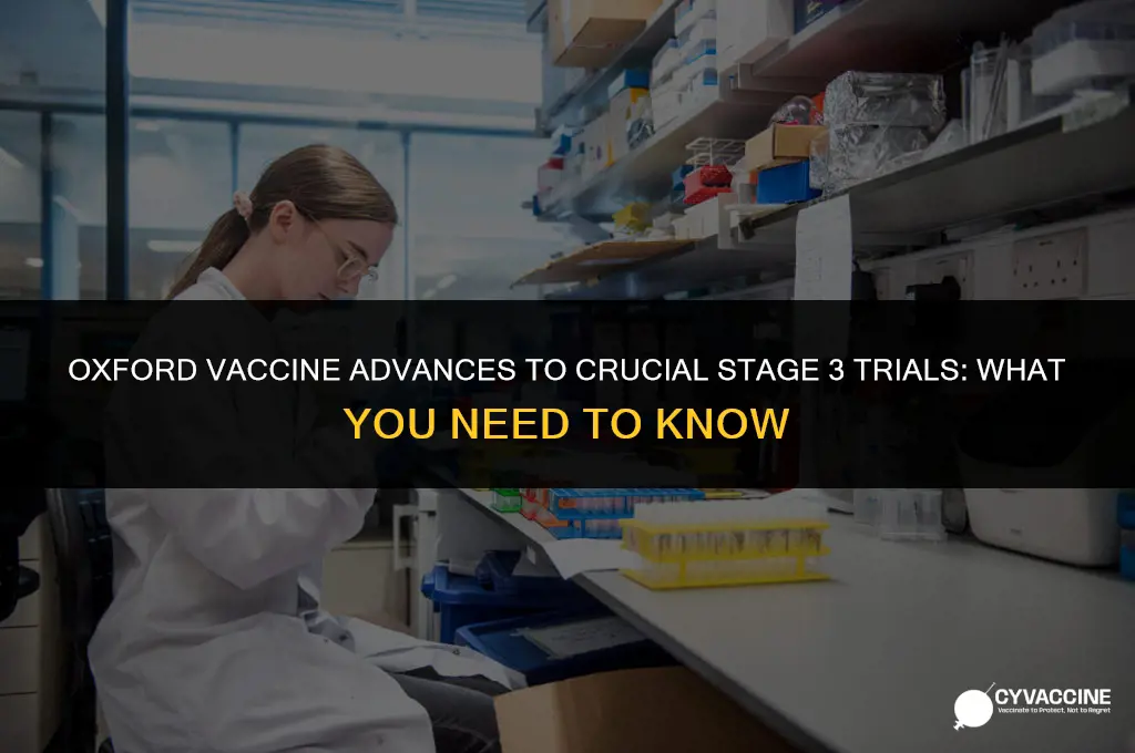 is oxford vaccine in stage 3
