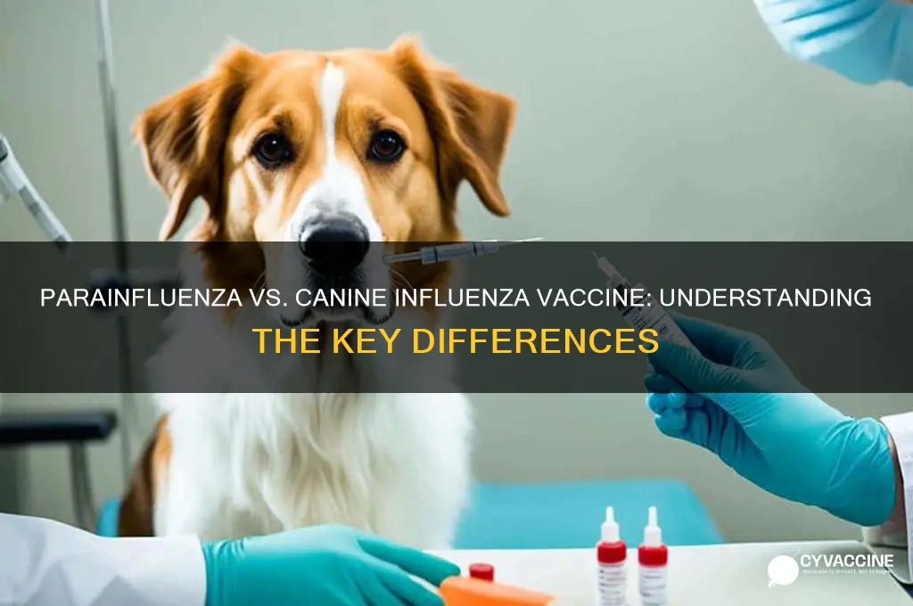 is parainfluenza the same as canine influenza vaccine