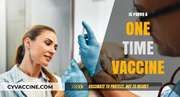 Understanding Parvo Vaccination: Is It a One-Time Shot?