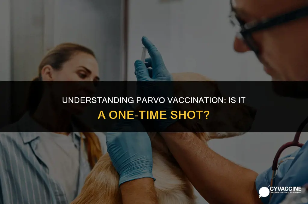 is parvo a one time vaccine