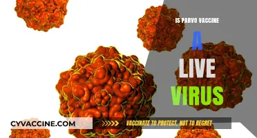 Understanding Parvovirus Vaccines: Live Virus or Not?