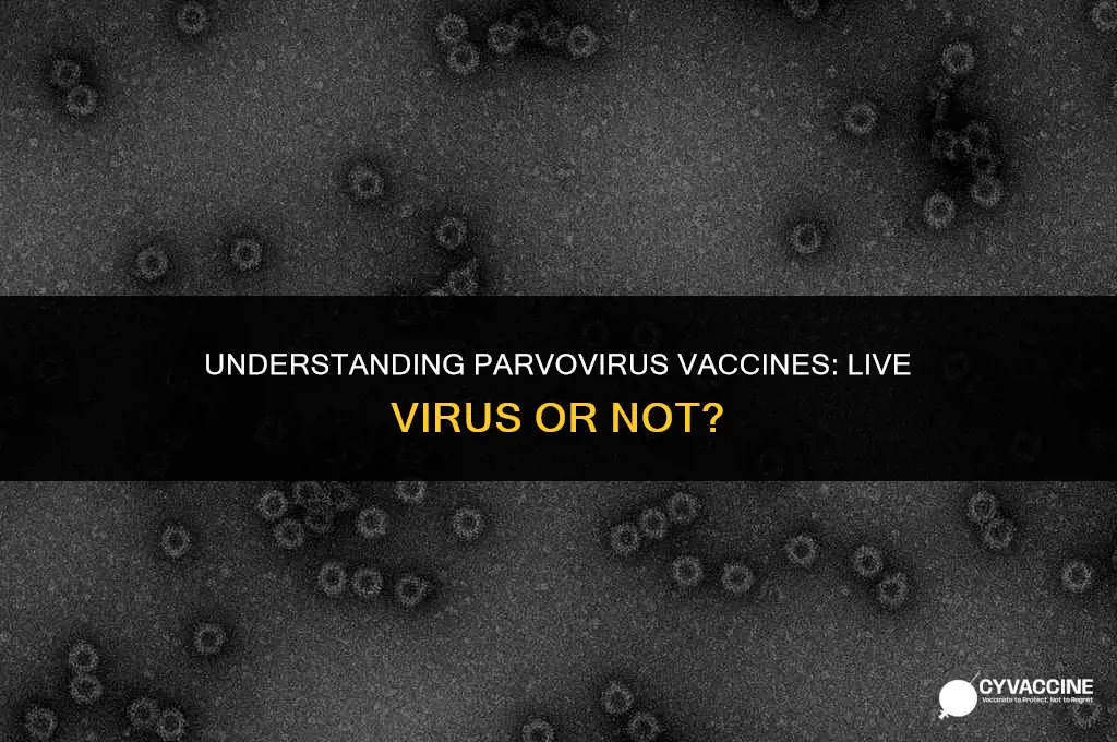 is parvo vaccine a live virus