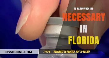 Protecting Your Pup: The Importance of Parvo Vaccination in Florida