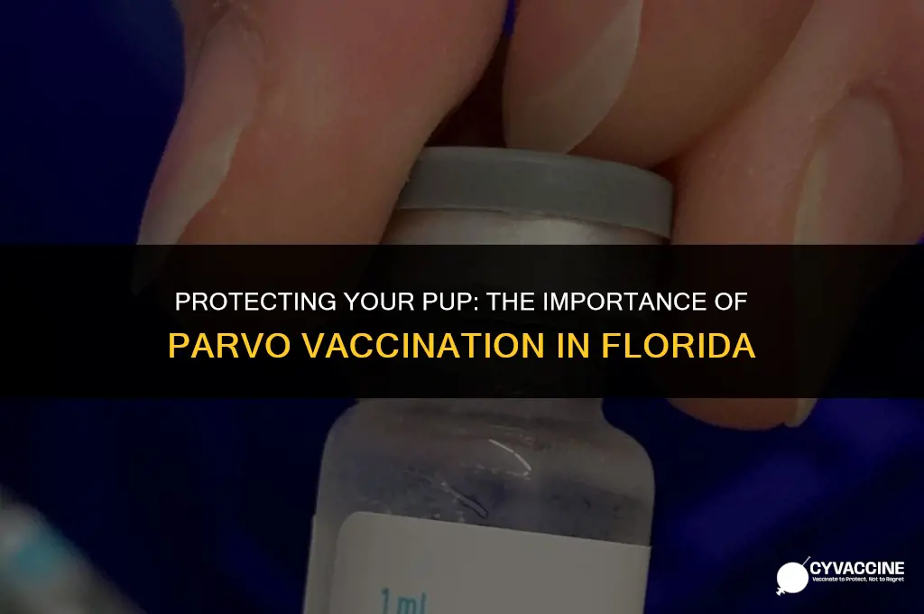 is parvo vaccine necessary in florida