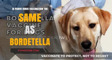 Parvo vs. Bordetella Vaccines: Understanding the Key Differences