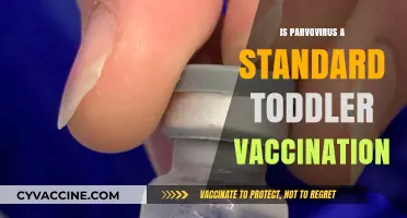 Protecting Toddlers: The Importance of Parvovirus Vaccination