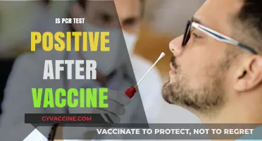 Can You Still Test Positive for COVID-19 After Vaccination?