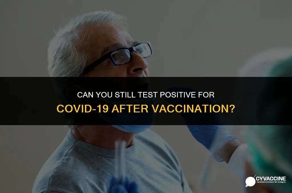 is pcr test positive after vaccine