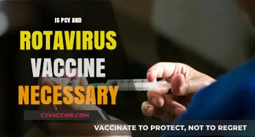Protecting Your Child: The Vital Role of PCV and Rotavirus Vaccines