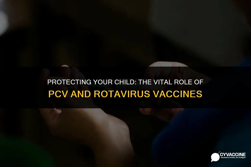 is pcv and rotavirus vaccine necessary