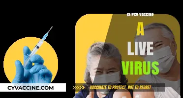 Understanding the PCV Vaccine: Live Virus or Not?