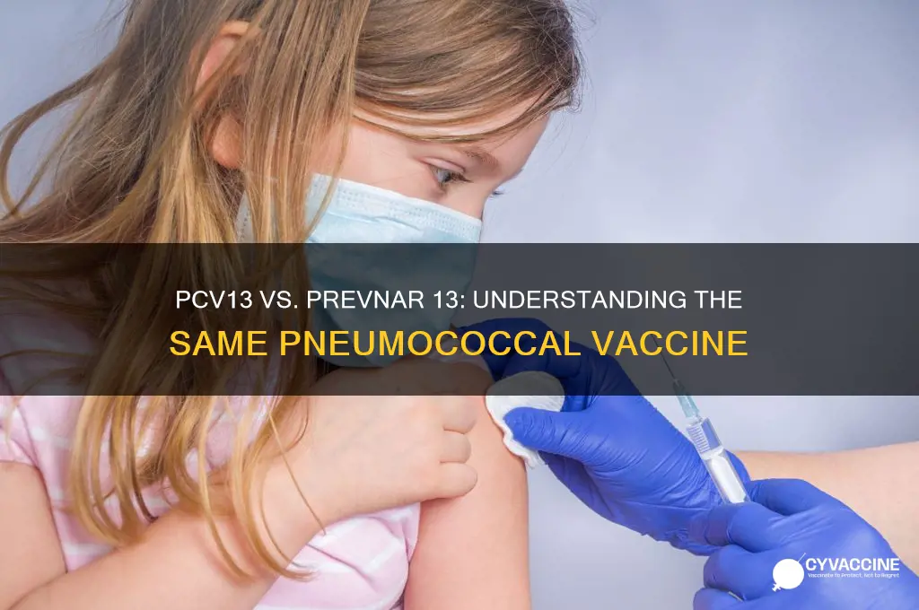 is pcv13 vaccine the same as prevnar 13