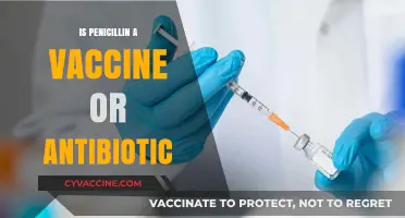 Understanding Penicillin: Antibiotic or Vaccine?