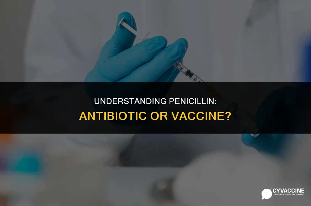 is penicillin a vaccine or antibiotic