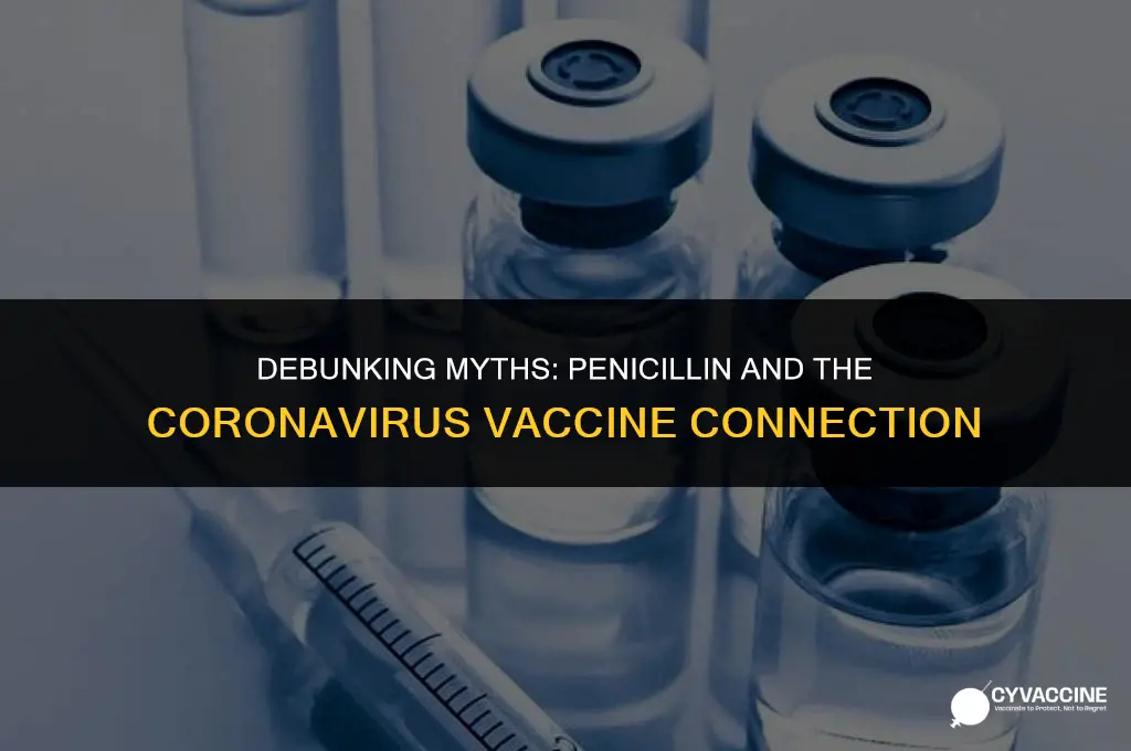 is penicillin in the coronavirus vaccine