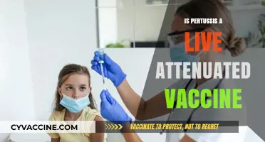 Understanding Pertussis Vaccination: Live Attenuated or Not?