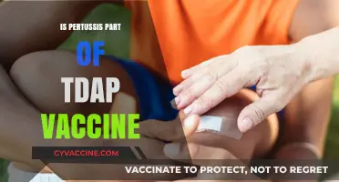 Pertussis Protection: Understanding the Tdap Vaccine's Role