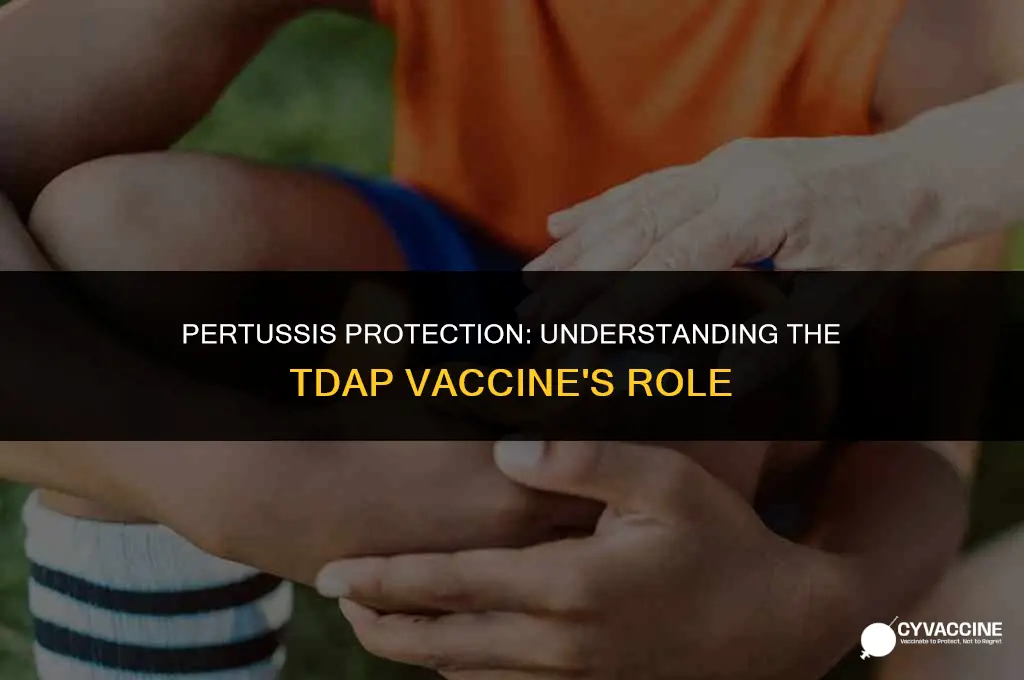 is pertussis part of tdap vaccine