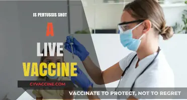 Understanding Pertussis Vaccines: Live or Inactivated?