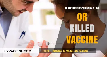 Pertussis Vaccination: Live or Killed? Understanding the Whooping Cough Shot