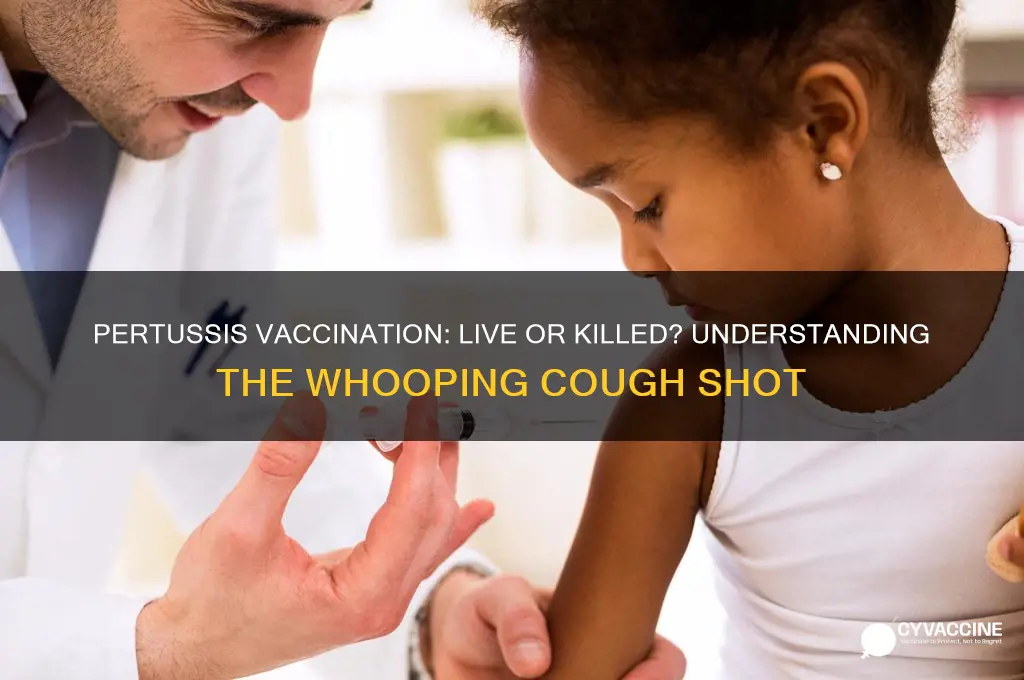 is pertussis vaccination a live or killed vaccine