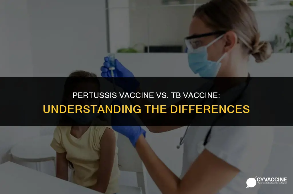 is pertussis vaccine a tb vaccine