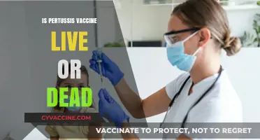 Unraveling the Mystery: Is the Pertussis Vaccine Live or Dead?