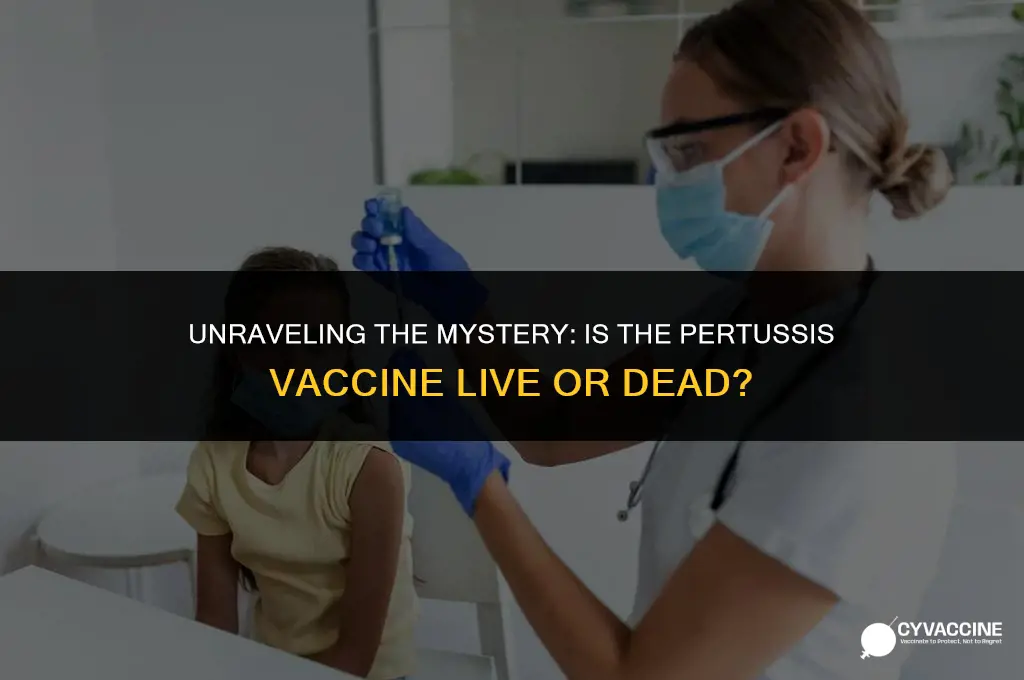 is pertussis vaccine live or dead