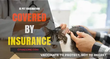 Does Pet Insurance Cover Vaccinations? What Owners Need to Know