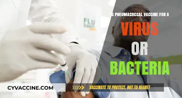 Pneumococcal Vaccine: Targeting Bacteria, Not Viruses – Understanding the Difference