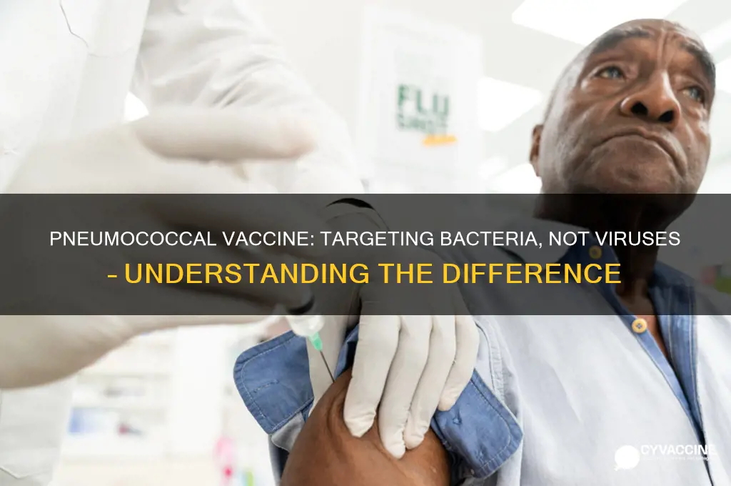 is pneumacoccal vaccine for a virus or bacteria