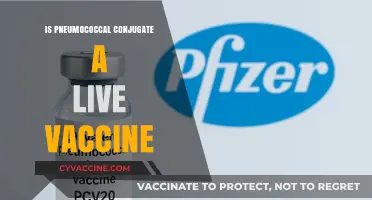 Understanding Pneumococcal Conjugate Vaccine: Is It Live or Inactivated?