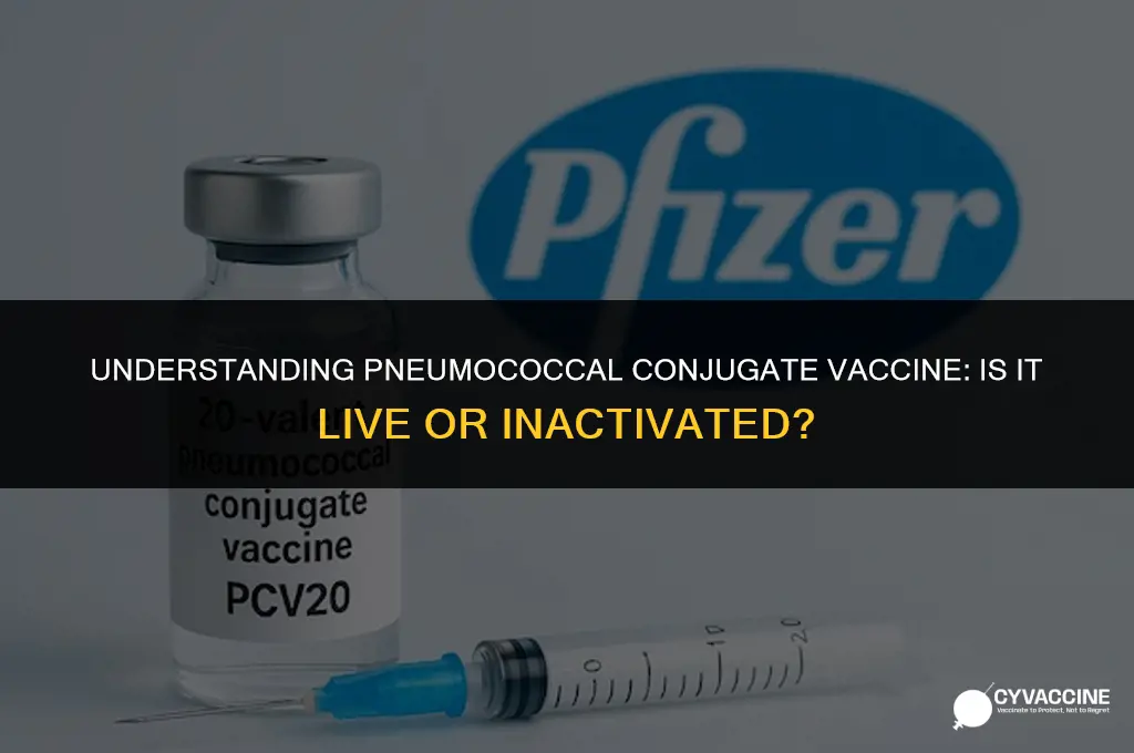 is pneumococcal conjugate a live vaccine
