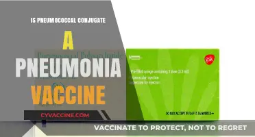 Combatting Pneumonia: The Power of Pneumococcal Conjugate Vaccines