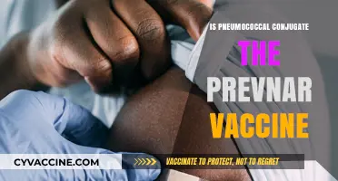 Understanding Pneumococcal Conjugate: The Prevnar Vaccine Explained