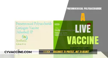 Understanding Pneumococcal Polysaccharide Vaccine: Live or Not?