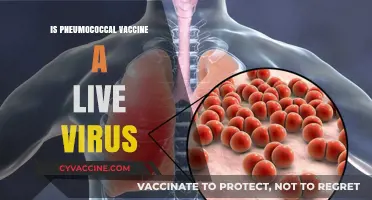 Is the Pneumococcal Vaccine a Live Virus? Facts Explained