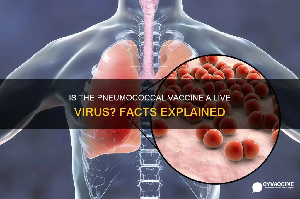 is pneumococcal vaccine a live virus