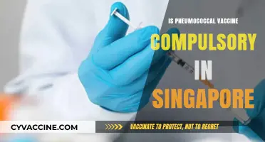 Pneumococcal Vaccine in Singapore: Compulsory or Recommended?