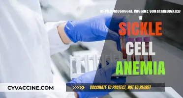 Pneumococcal Vaccine Safety in Sickle Cell Anemia Patients: What to Know