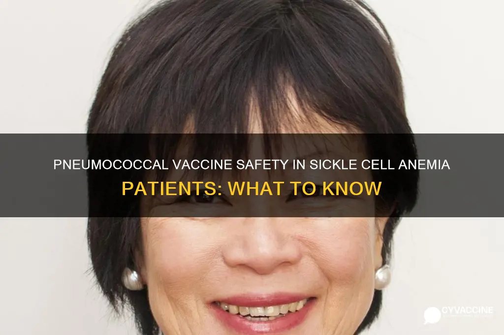 is pneumococcal vaccine contraindicated in sickle cell anemia