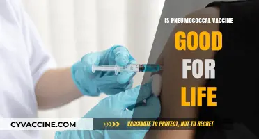Lifelong Immunity: The Truth About Pneumococcal Vaccines