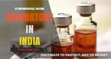 Pneumococcal Vaccine in India: Understanding Its Importance and Mandate