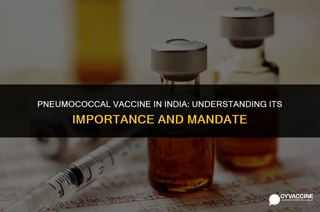 is pneumococcal vaccine mandatory in india