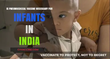 Pneumococcal Vaccine for Infants in India: Essential or Optional?