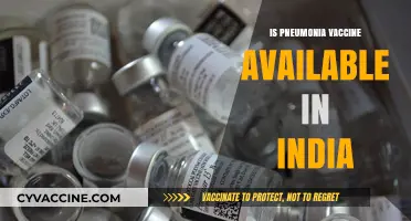 Combatting Pneumonia: Vaccine Accessibility in India Explored