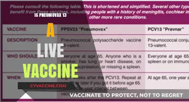 Understanding Pneumovax 13: Is It a Live Vaccine?