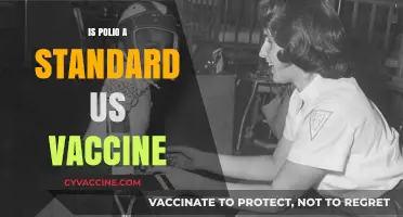 Polio Vaccination: A Cornerstone of US Public Health