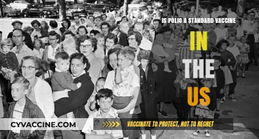 Is Polio Still a Standard Vaccine in the US?