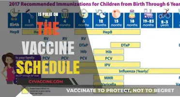 Polio Protection: Understanding Its Place in the Vaccine Schedule